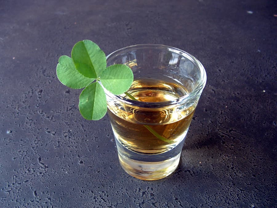 Irish whiskey with a four-leaf clover as a garnish