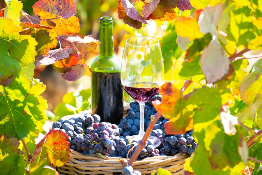 Wine glass and bottle surrounded by grapes and leaves 