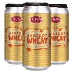 Ithaca Beer Company - Apricot Wheat 0 (415)