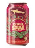 Dogfish Head - Citrus Squall 0 (62)