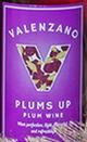 Valenzano - Plum Wine NV (750ml) (750ml)