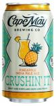 Cape May Brewing Company - Pineapple Crushin' It 0 (62)
